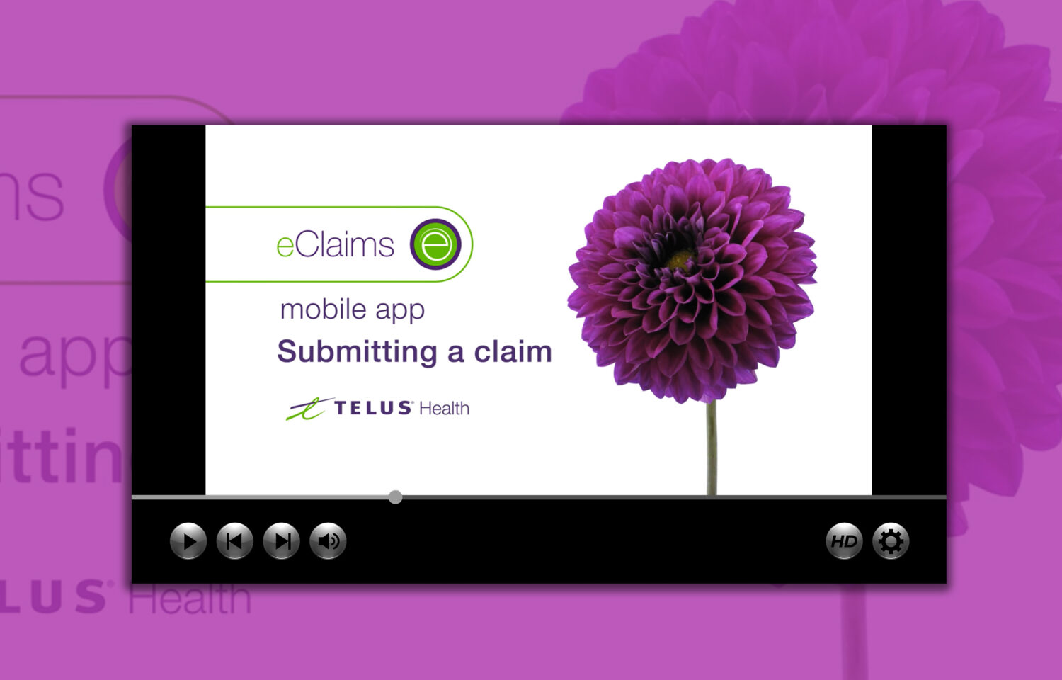 Telus animowana instrukcja